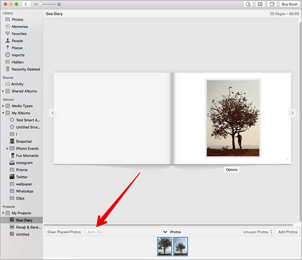 Auto Fill Photos in Mac Photos App