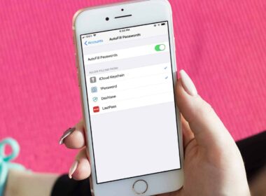 How to change default password autofill provider in ios 12 on iphone and ipad