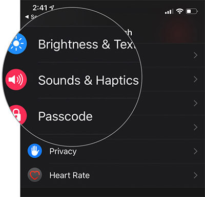 Tap on Sounds & Haptics in Watch App