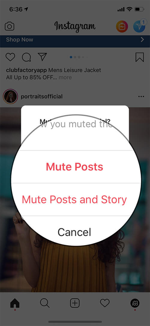 Mute Instagram Story Without Unfollow on iPhone