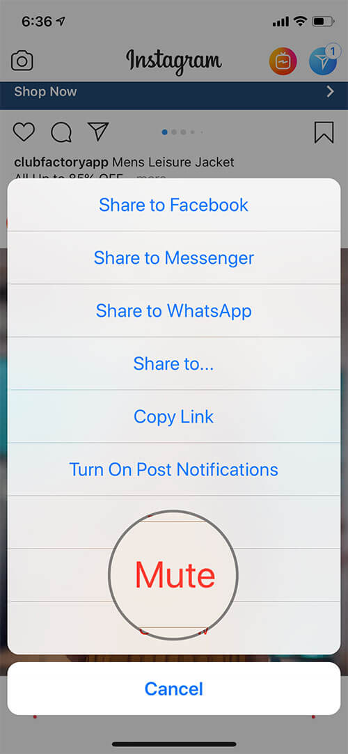 Mute Instagram Story on iPhone