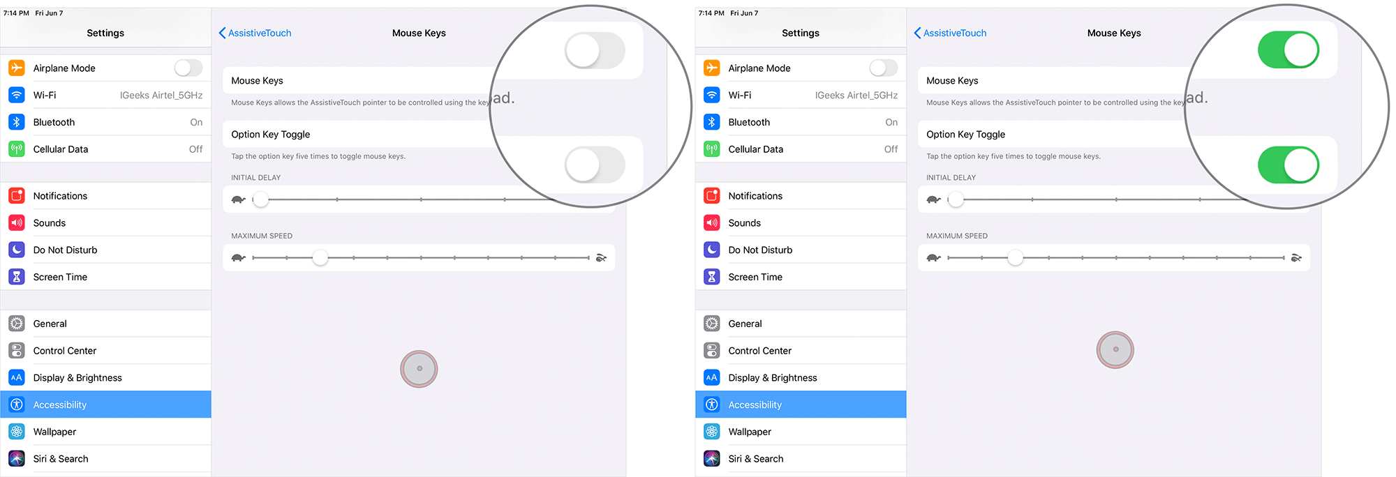 Turn On Mouse Keys and Option Key in iPadOS 13