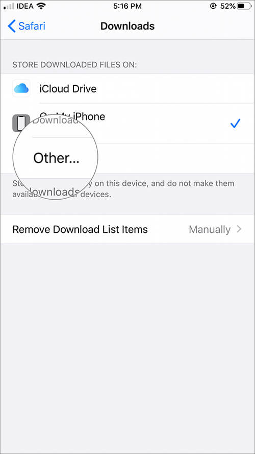 Tap on Other in Safari Downloads Settings on iPhone