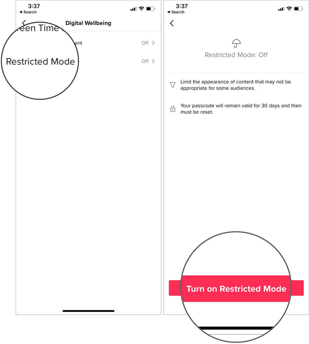 Tap on Restricted Mode and Then Tap Turn on Restricted Mode Button on iPhone