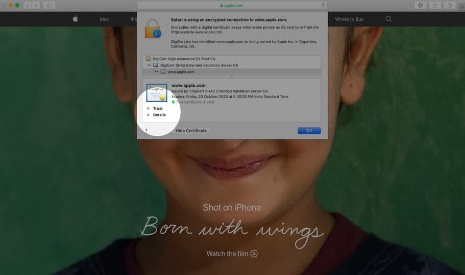 Click on Trust and Details to View Digital Certificate in Safari on Mac