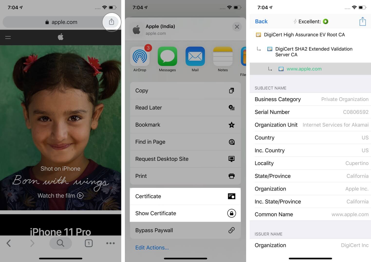 Tap on Share and Select Show Certificate in Chrome App on iPhone