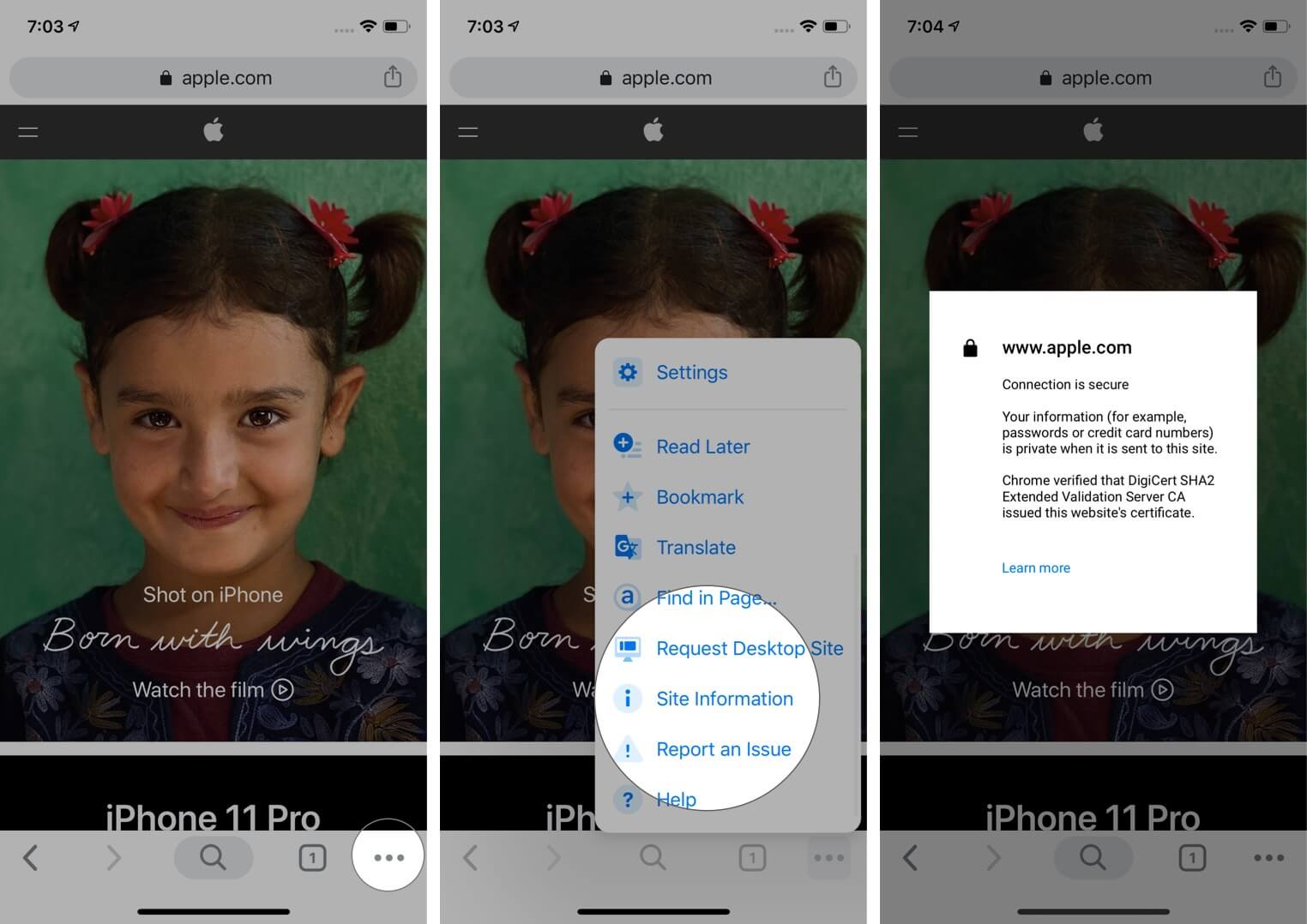 Tap on Three Dots and Select Site Information in Google Chrome on iPhone