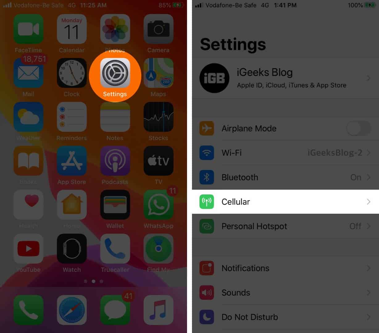 Open Settings and Tap on Cellular