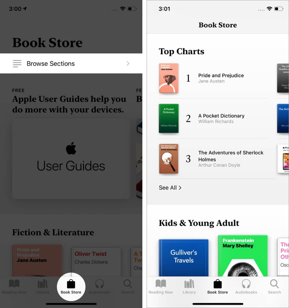 open books app tap on book store tab and tap browse sections on iphone