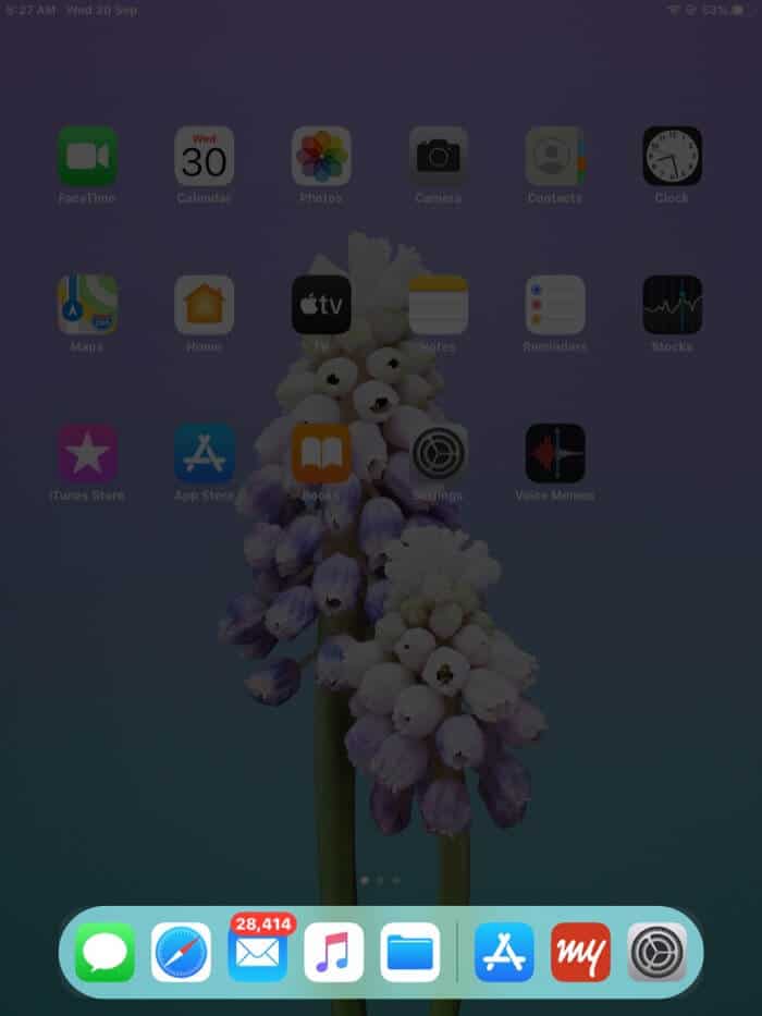 Access Dock from iPad Home Screeen