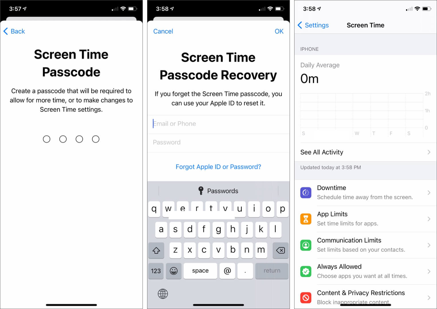 Fill Screen Time Passcode and Apple ID for Recovery