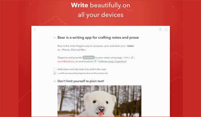 Bear iPad Note Taking App Screenshot