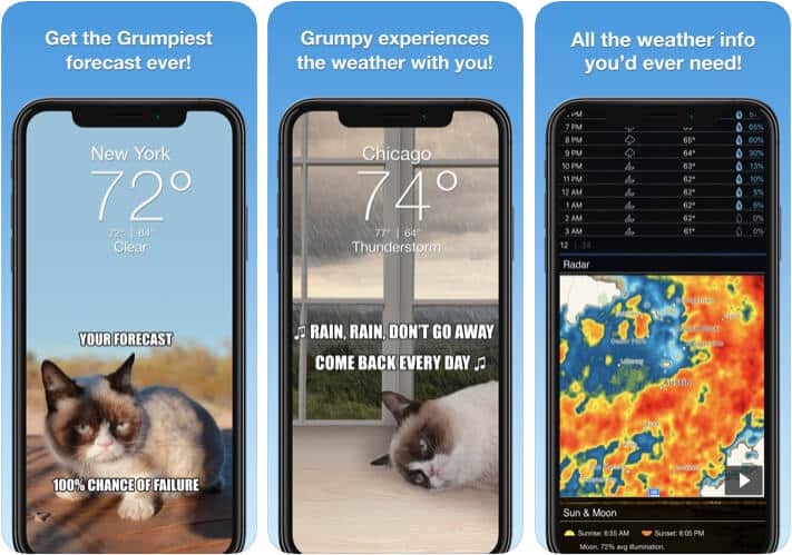 Grumpy Cat Funny Weather iPhone and iPad App Screenshot