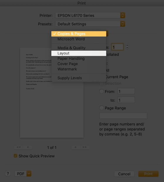 Click on Copies & Pages and Select Layout in File App on Mac