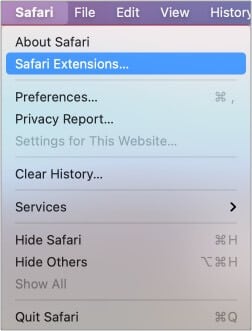 Open Safari on Mac and click on Safari extensions