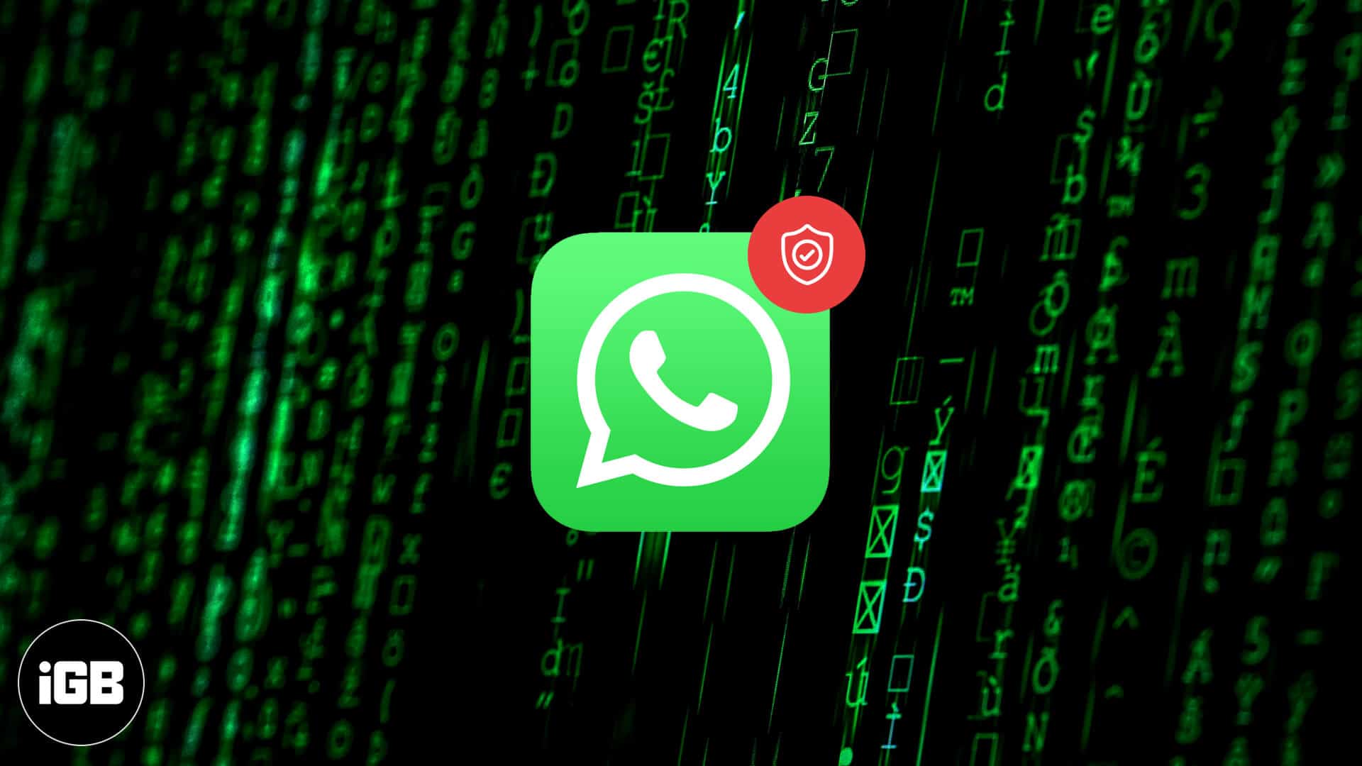 Whatsapp privacy policy