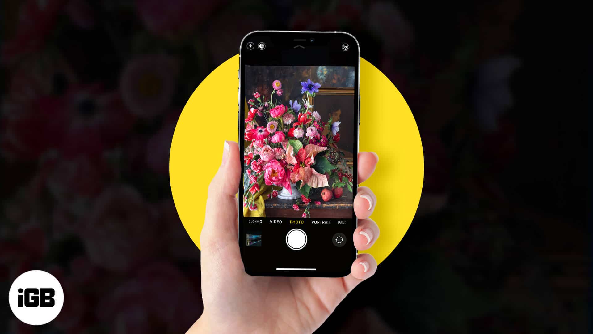 Iphone flower photography tips to capture best with iphone 12 pro models