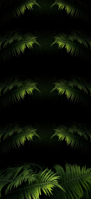 HD shelf wallpaper for Apple iPhone