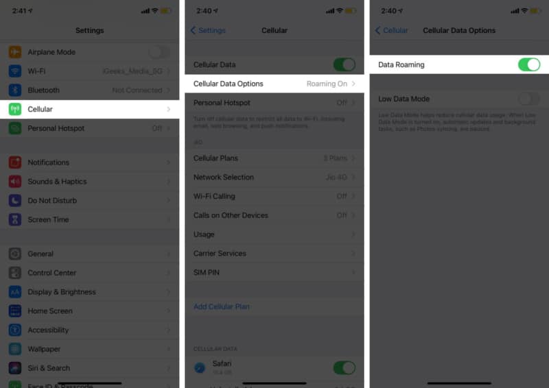 Enable Data Roaming Option on iPhone