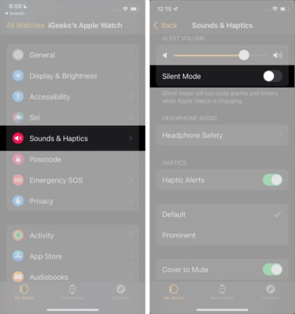 Toggle ON Silent Mode in watch app on iPhone