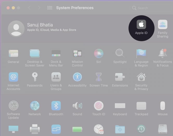 Click Apple ID in Mac System Preferences