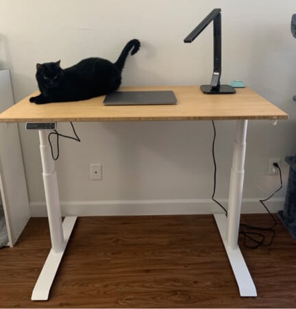 Kana Pro Bamboo Standing Desk overview