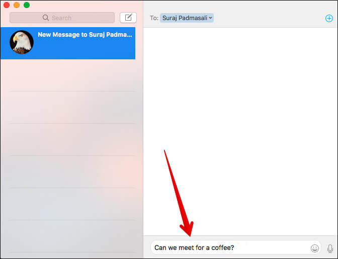 Type in the message in Mac Messages App