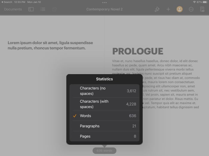 Other Statistics in Pages app on iPad