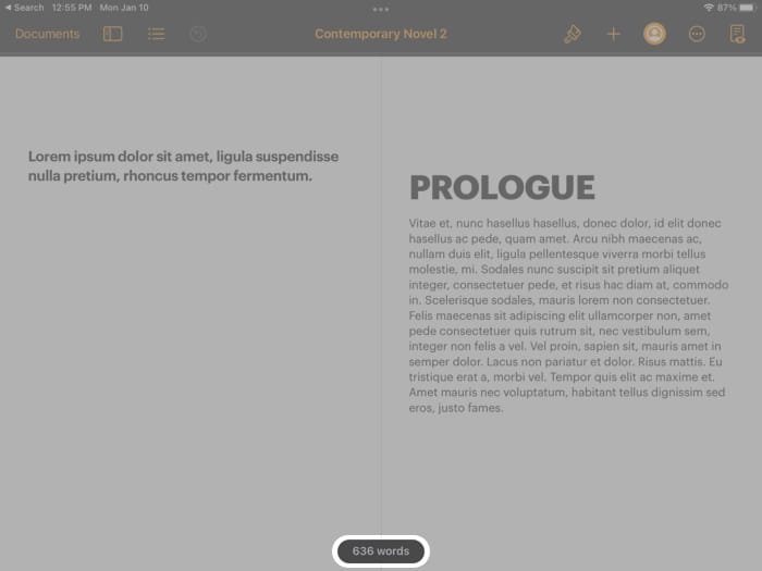 show word count in Pages app on iPad