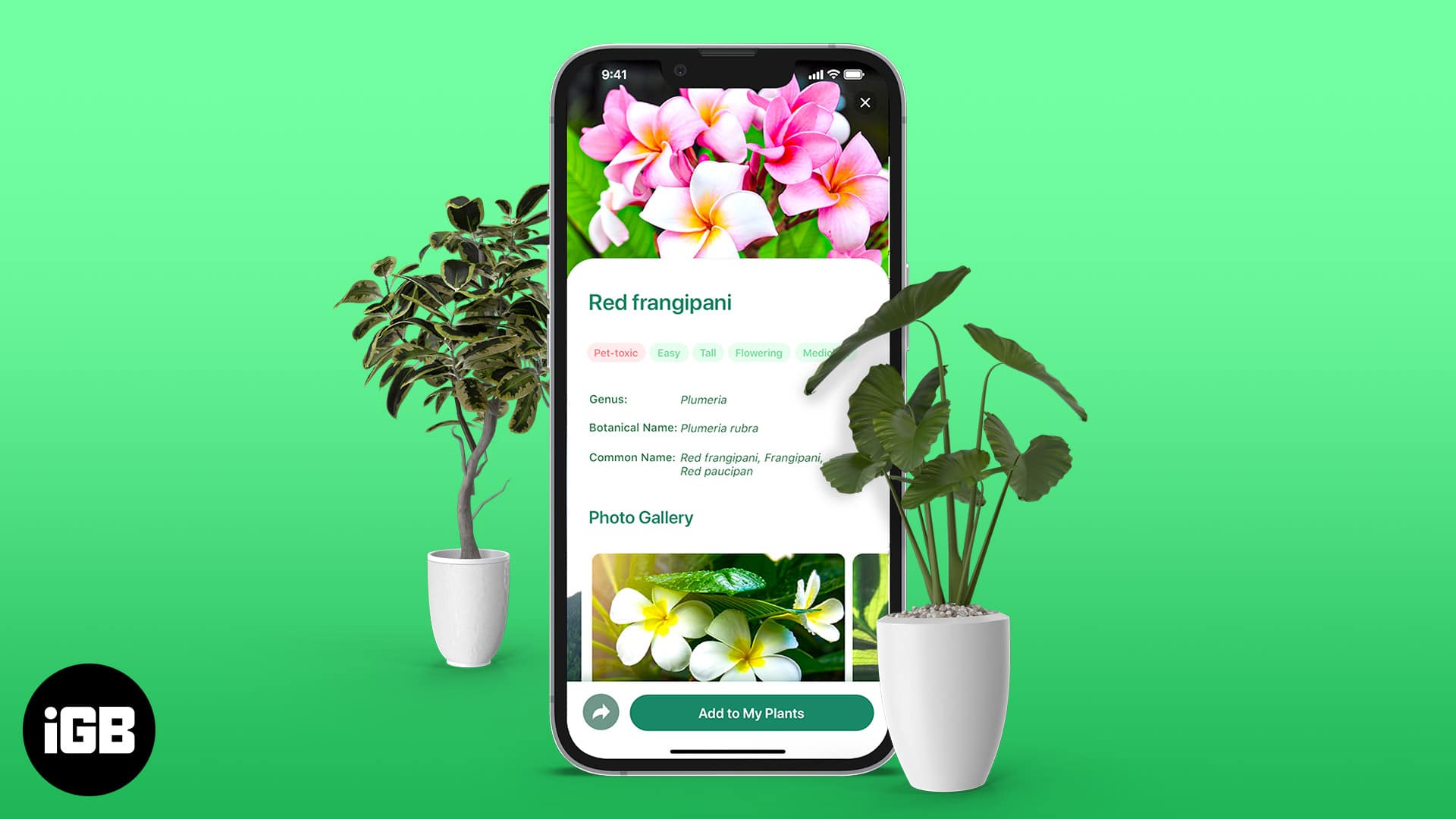 Best plant identifier apps for iphone in 2022