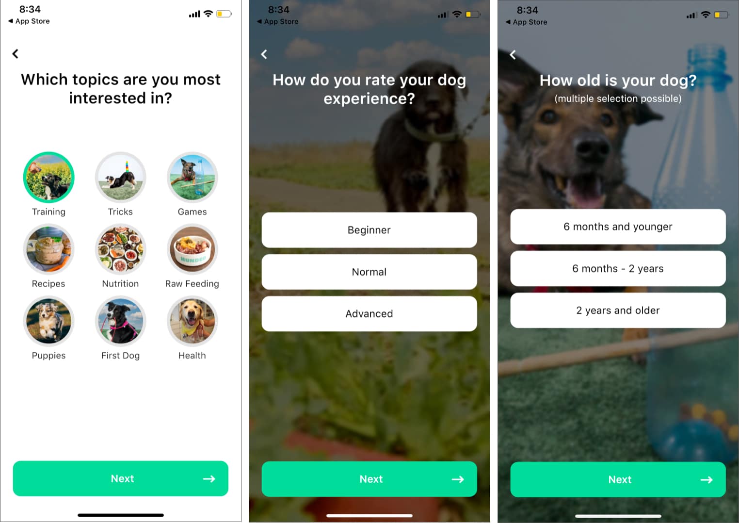 Hundeo app dog training made easy 