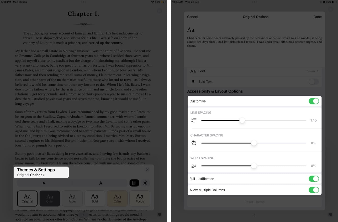 Accessibility Options in Books app on an iPad