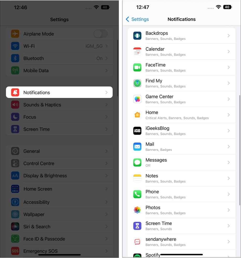 Notifications options in an iPhone Settings