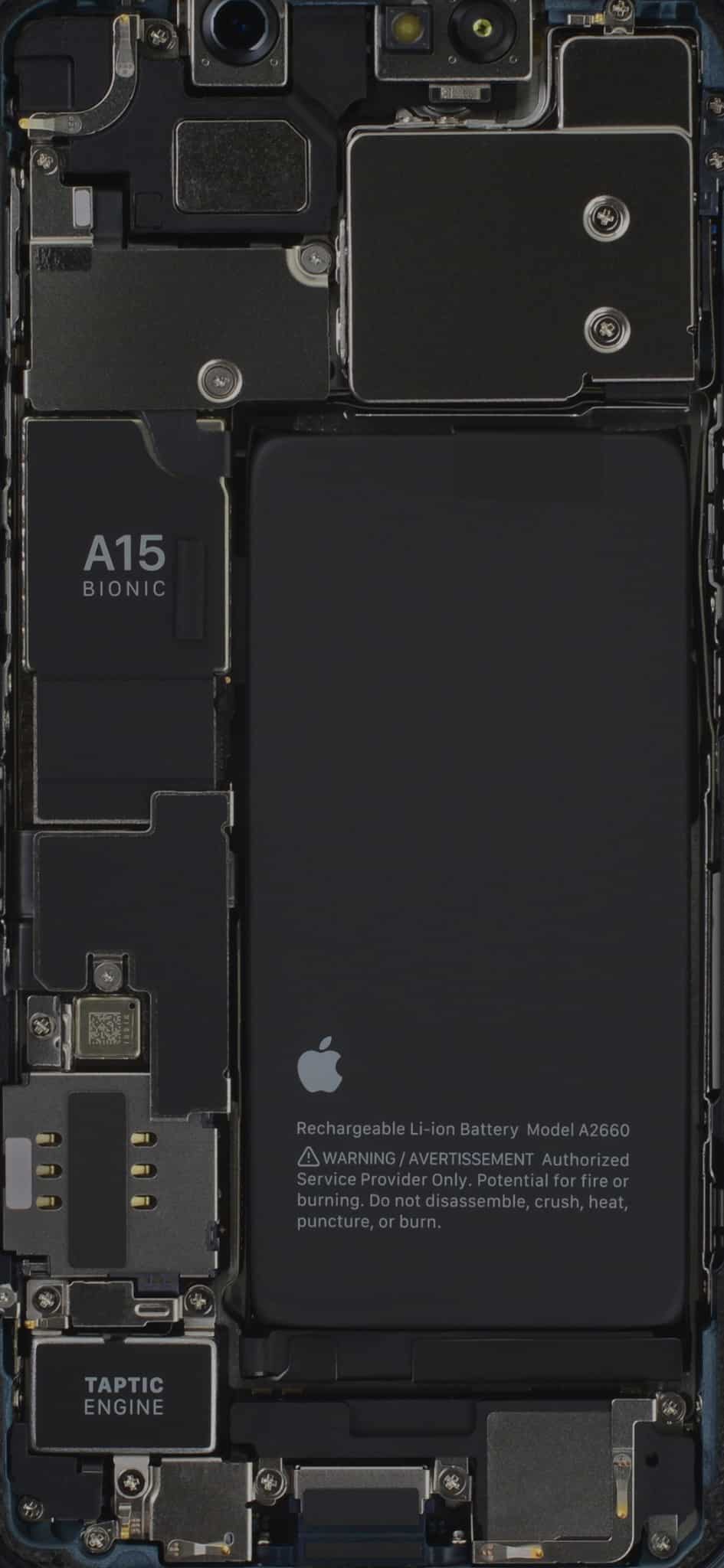 iphone 13 mini teardown wallpaper