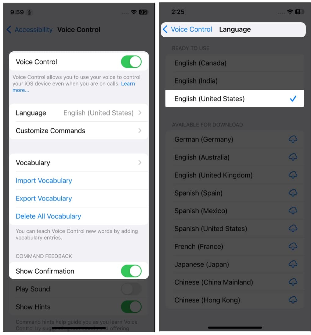 Customize Voice Control settings on iPhone