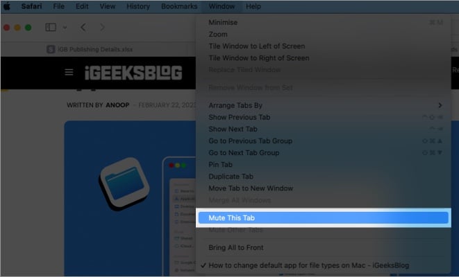 Open Window in the menu bar and choose Mute This Tab