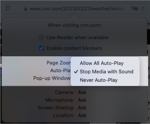 drop-down menu to the right of Auto-Play
