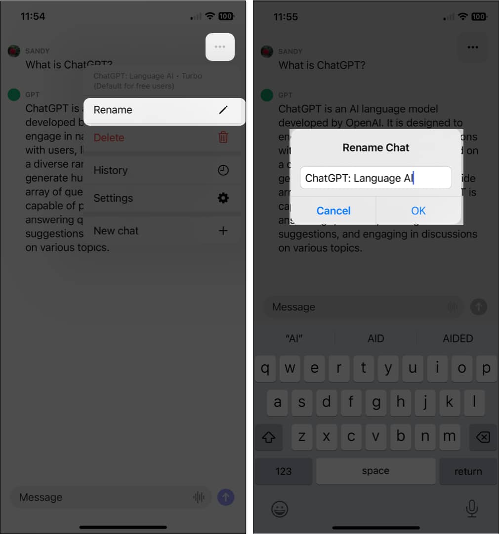 Rename in ChatGPT iOS app