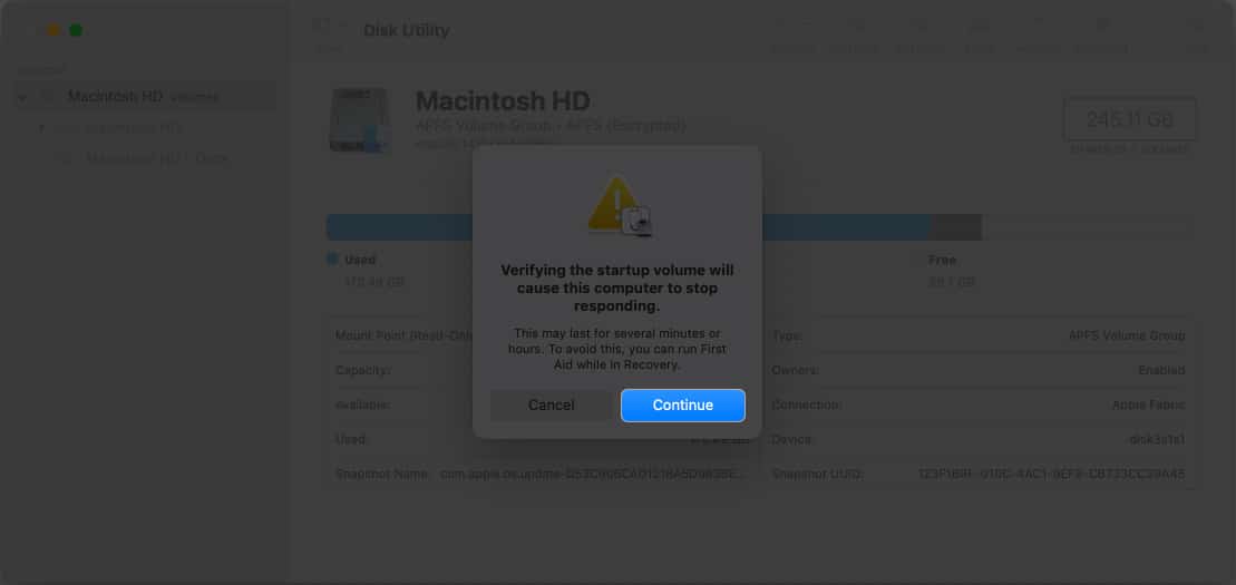 Click Continue in Disk Utility