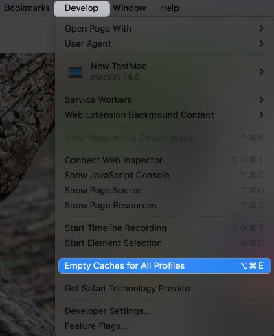 Click Develop, Empty Caches for All Profiles in Safari
