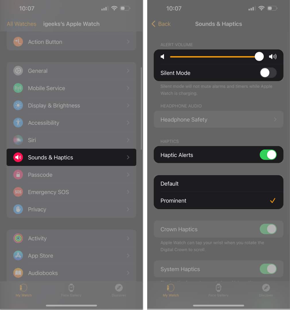 Maximum the volume in Sounds & Haptics Settings