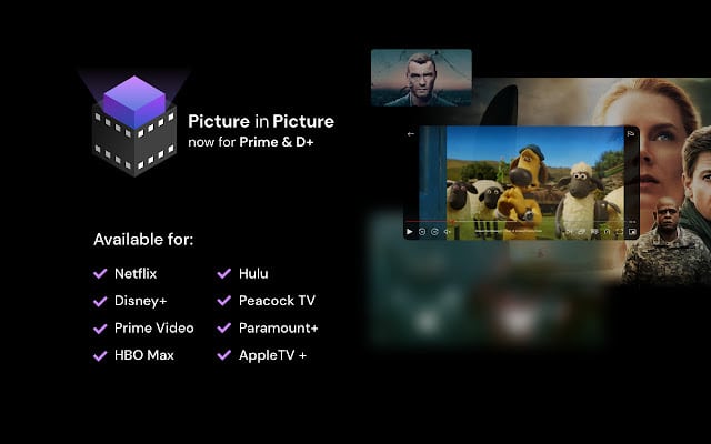 Netflix Picture-in-Picture Extension for Chrome