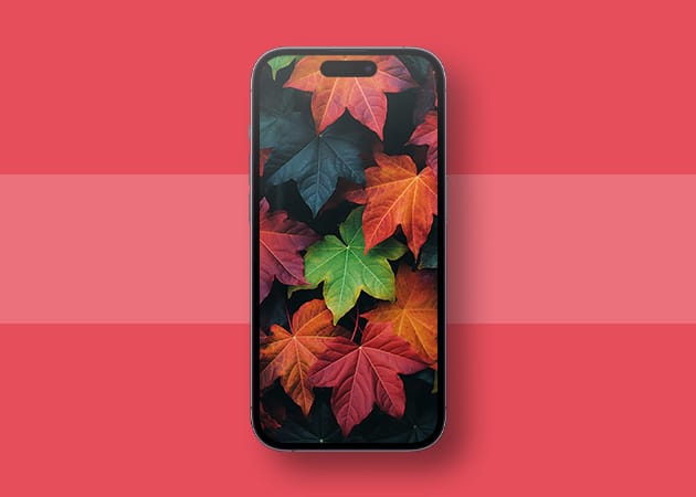 Pretty Fall wallpapers for iPhone