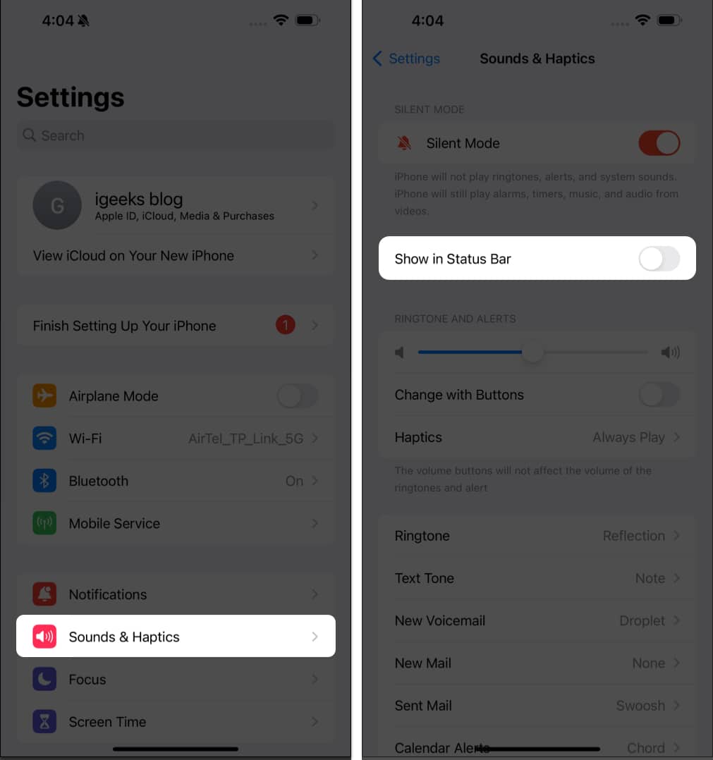 Tap Sound & Haptics, turn off show in status bar