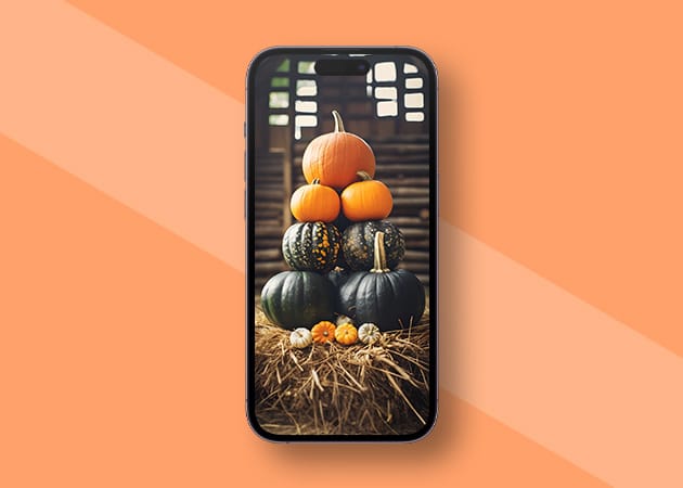 Stacked Pumpkins iPhone HD wallpaper