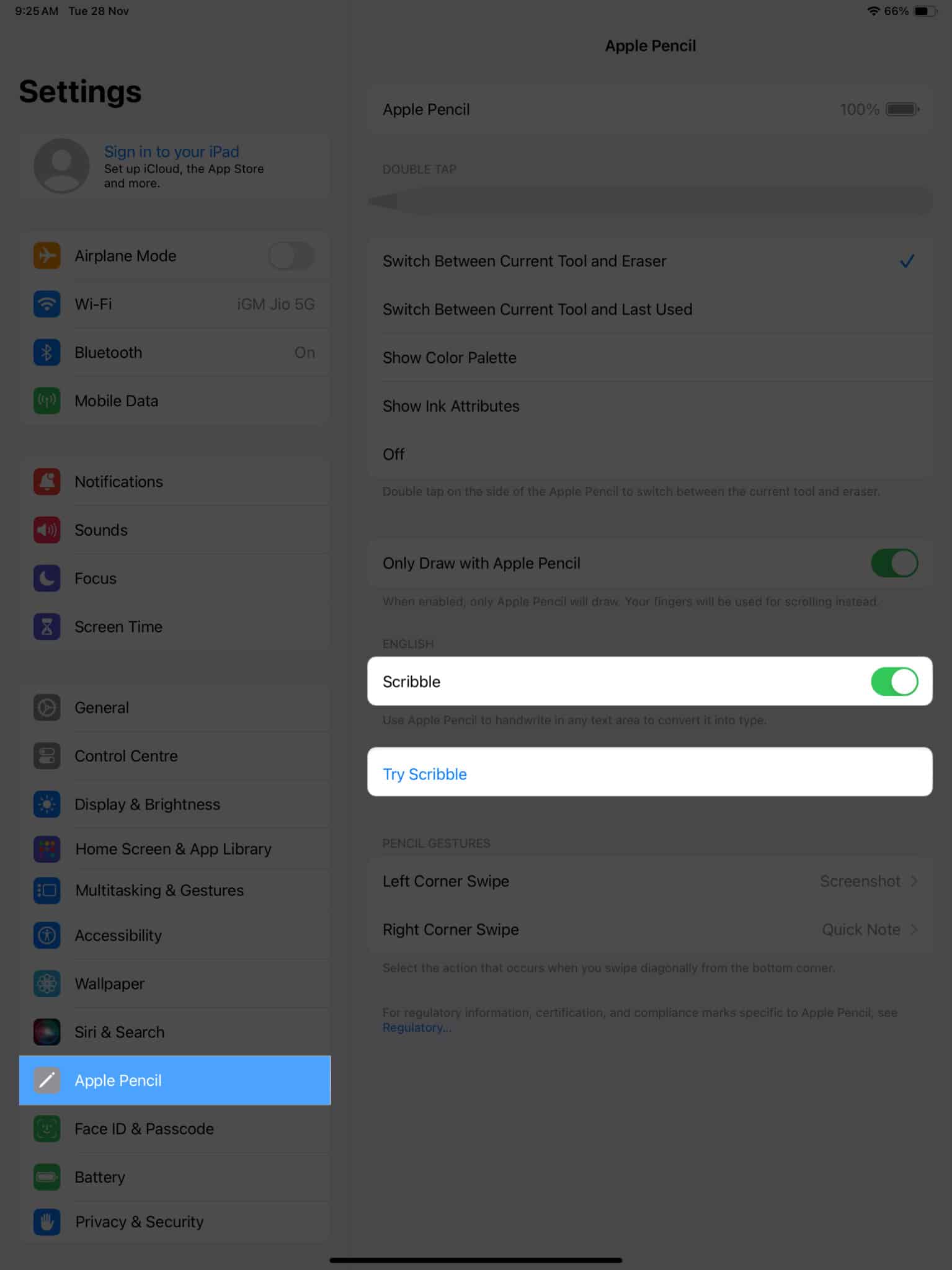 Turn on Scribble and Try Scribble under Apple Pencil option