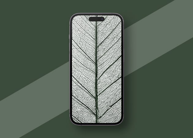 Zoomed leaf HD minimalist iPhone wallpaper