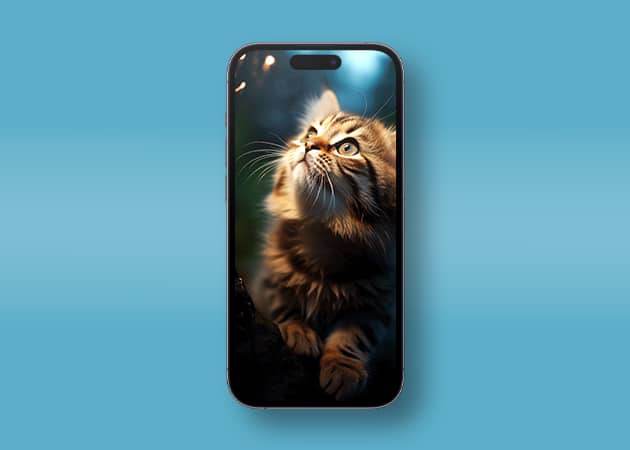 Cute cat wallpaper for iPhone
