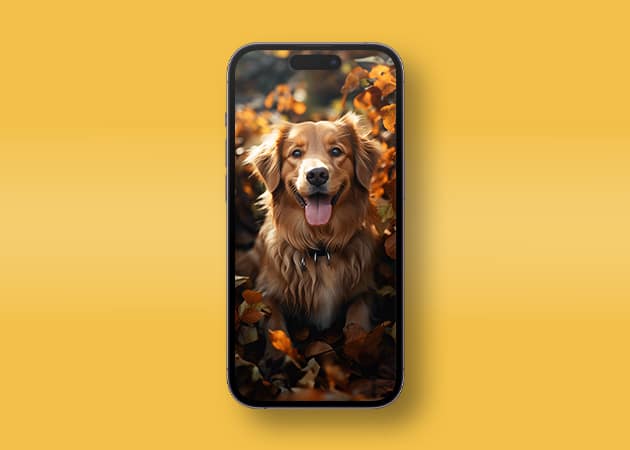 Golden retriever wallpaper for iPhone