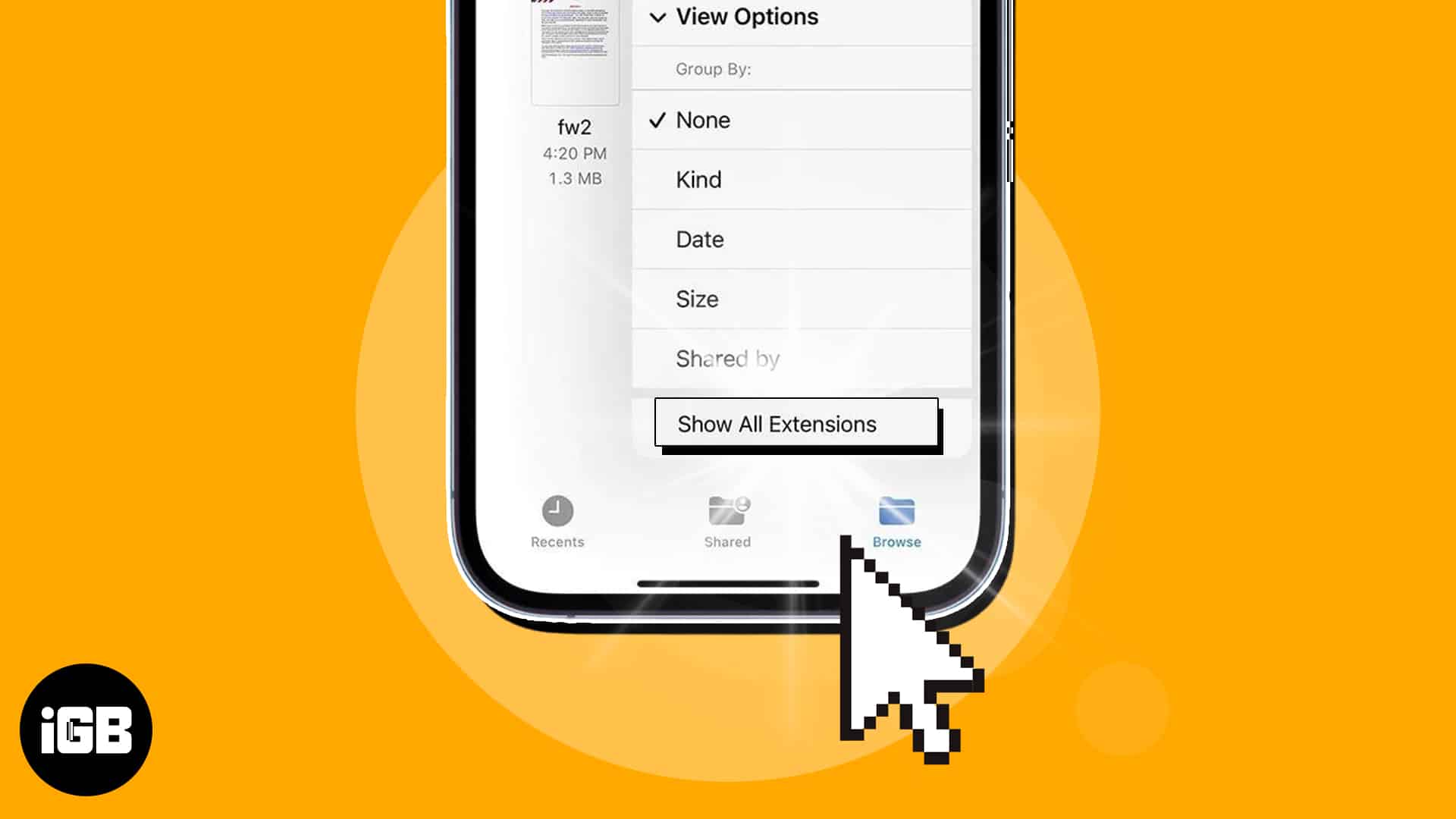 How to view and change file extensions on iphone and ipad